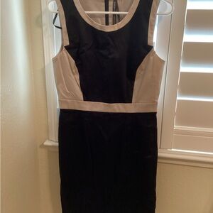 Andrew Marc Black and Cream Mini Dress